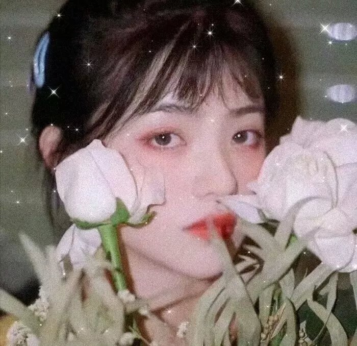 抱得美人归
